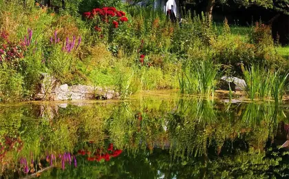 Ein natürlicher Gartenteich mit dichter Bepflanzung am Ufer spiegelt Bäume und bunte Blumen auf der Wasseroberfläche.