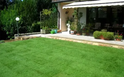 Perfekt angewachsener Fertigrasen vor einer Terrasse. Ein dichter, grüner Rollrasen im gepflegten Garten.