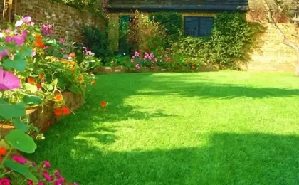 Ein saftig grüner Kunstrasen umrahmt von bunten Blumenbeeten im Garten. Gepflegter künstlicher Rasen am Gartenhaus.