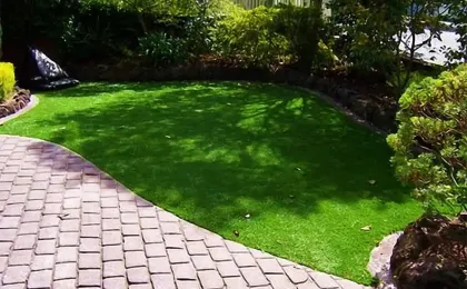 Ein perfekt gepflegter Kunstrasen im Garten neben einem Pflasterweg. Hochwertiger künstlicher Rasen im Grünen.