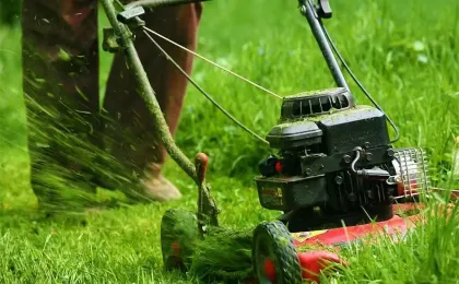 Ein Gärtner mäht hohen, grünen Rasen mit einem roten Benzin-Rasenmäher. Professionelle Gartenpflege im Außenbereich.
