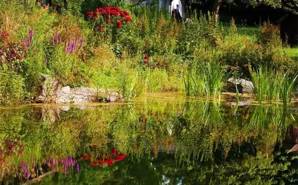 Ein natürlicher Gartenteich mit dichter Bepflanzung am Ufer spiegelt Bäume und bunte Blumen auf der Wasseroberfläche.