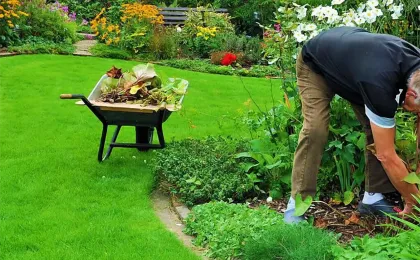 Ein Gärtner arbeitet kniend im blühenden Staudenbeet neben einer gefüllten Schubkarre. Nachhaltige Gartenpflege im Grünen.