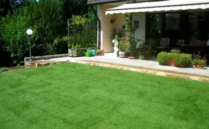 Perfekt angewachsener Fertigrasen vor einer Terrasse. Ein dichter, grüner Rollrasen im gepflegten Garten.