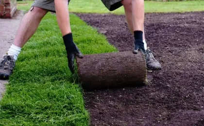 Ein Landschaftsgärtner verlegt frischen Rollrasen auf vorbereitetem Boden. Hochwertiger Fertigrasen für Grün.