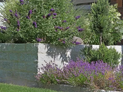 Ein massives Hochbeet aus hellen Naturstein-Blöcken bepflanzt mit Sträuchern und Lavendel.