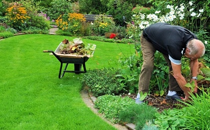 Gartengestaltung & Gartenpflege